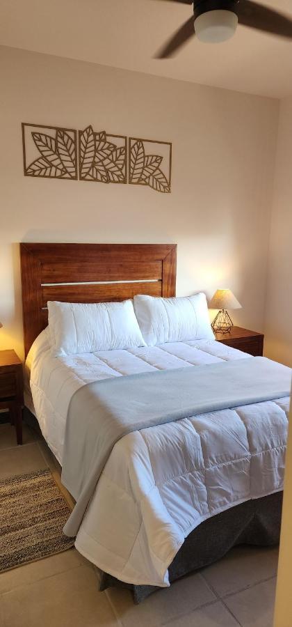 San José del Cabo Suites Lomboy & Plaza المظهر الخارجي الصورة